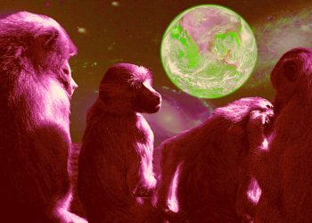 PREVER O FUTURO É POSSÍVEL? CONSTRUINDO O AMANHÃ