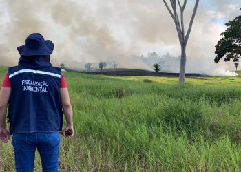 FISCALIZAÇÃO COMO TAREFA ESSENCIAL À EFETIVAÇÃO DA POLÍTICA DE MEIO AMBIENTE