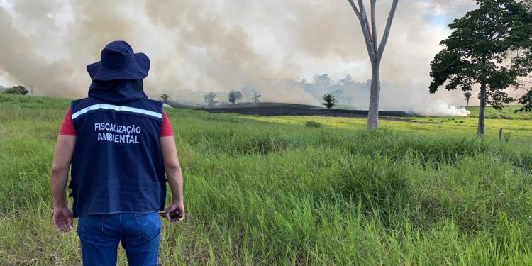 FISCALIZAÇÃO COMO TAREFA ESSENCIAL À EFETIVAÇÃO DA POLÍTICA DE MEIO AMBIENTE