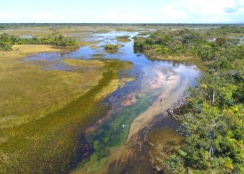 DESASTRE QUE SECOU RIO FEZ NASCER PANTANAL DAS ÁGUAS