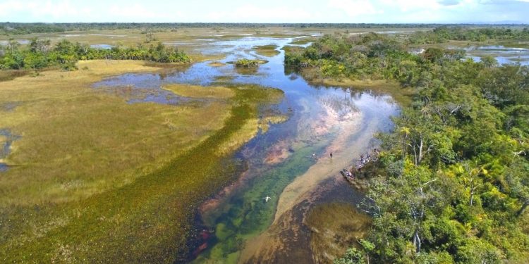 DESASTRE QUE SECOU RIO FEZ NASCER PANTANAL DAS ÁGUAS