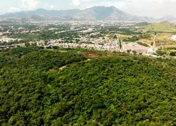 AS UNIDADES DE CONSERVAÇÃO MUNICIPAIS E A TRANSFERÊNCIA DO DIREITO DE CONSTRUIR