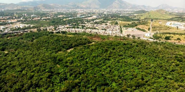 AS UNIDADES DE CONSERVAÇÃO MUNICIPAIS E A TRANSFERÊNCIA DO DIREITO DE CONSTRUIR