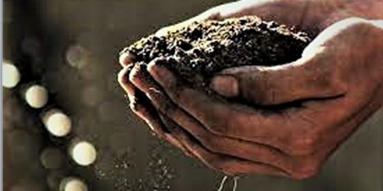 NOVA YORK APROVA COMPOSTAGEM COM RESTOS HUMANOS