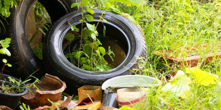 MUDANÇAS CLIMÁTICAS E EL NIÑO ELEVAM PREOCUPAÇÃO COM DENGUE NO BRASIL