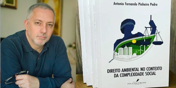 ANÁLISE DA OBRA DE PINHEIRO PEDRO – POR MARILENE NUNES