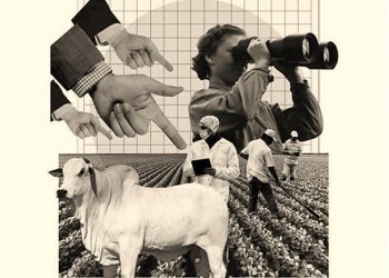 IMPACTO SOCIAL DO AGRO BRASILEIRO