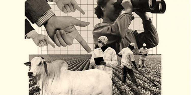 IMPACTO SOCIAL DO AGRO BRASILEIRO