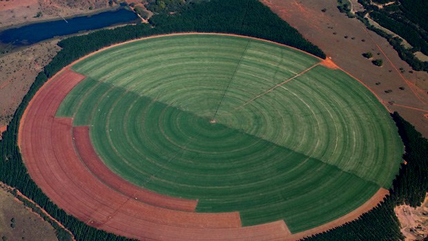 Espaço de cultivo faz círculo no meio da vegetação nativa: expansão da fronteira agrícola na berlinda | Foto: Leo Drumond/Nitro