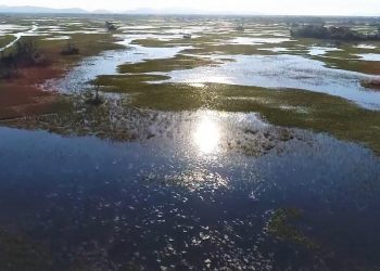 O PANTANAL DESCONHECIDO. UMA HISTÓRIA DE INCÊNDIOS E ASSOREAMENTO