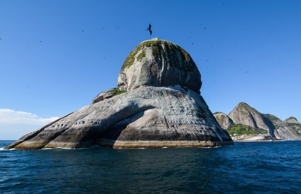 Fundação SOS Mata Atlântica apoiará a gestão do Arquipélago de Alcatrazes