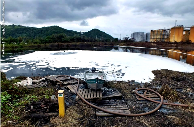 Amostras de água estão sendo coletadas na Lagoa atingida pelo vazamento e onde vive um grupo de jacarés de papo-amarelos. Imagem:Instituto Ecofaxina