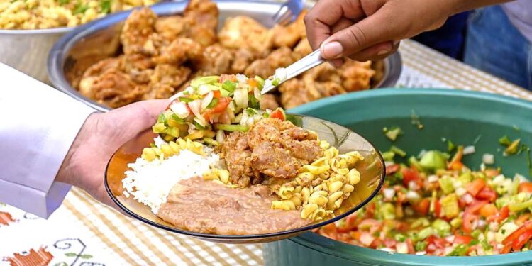 O CONSEA-SP: UM NOVO OLHAR SOBRE A SEGURANÇA ALIMENTAR E NUTRICIONAL