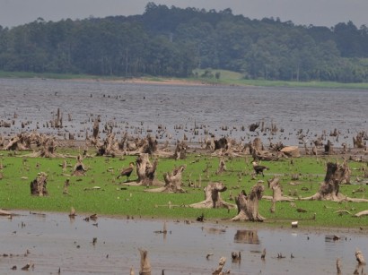 Sinais da seca que atinge o Sistema Alto Tietê.