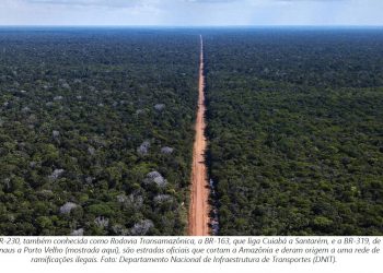 REDE DE ESTRADAS ESPALHA “ARTÉRIAS DE DESTRUIÇÃO” POR 41% DA AMAZÔNIA BRASILEIRA