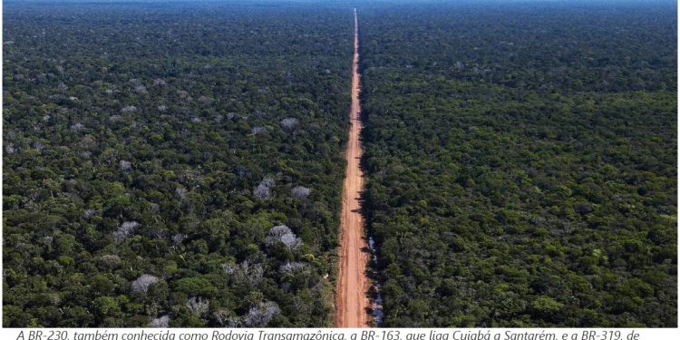 REDE DE ESTRADAS ESPALHA “ARTÉRIAS DE DESTRUIÇÃO” POR 41% DA AMAZÔNIA BRASILEIRA