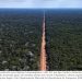 REDE DE ESTRADAS ESPALHA “ARTÉRIAS DE DESTRUIÇÃO” POR 41% DA AMAZÔNIA BRASILEIRA