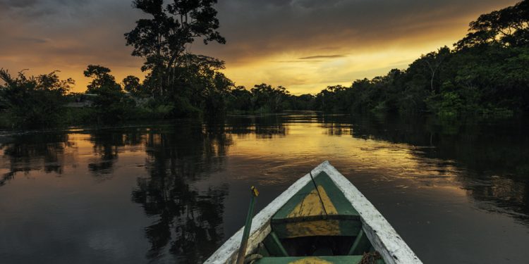 VIVA A AMAZÔNIA! CURIOSIDADES SOBRE A MAIOR FLORESTA DO MUNDO