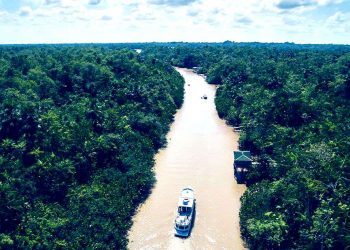 SUDAM E PNUD FIRMAM PARCERIA PELO DESENVOLVIMENTO SUSTENTÁVEL DA AMAZÔNIA LEGAL