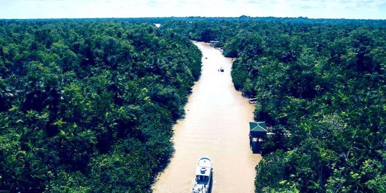 SUDAM E PNUD FIRMAM PARCERIA PELO DESENVOLVIMENTO SUSTENTÁVEL DA AMAZÔNIA LEGAL