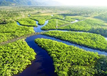 FESTIVAIS EM OITO CIDADES CELEBRAM DIA DA AMAZÔNIA DE 3 A 10 DE SETEMBRO
