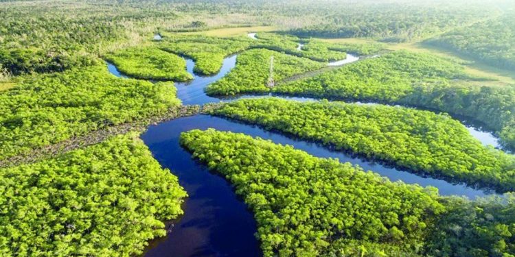 FESTIVAIS EM OITO CIDADES CELEBRAM DIA DA AMAZÔNIA DE 3 A 10 DE SETEMBRO