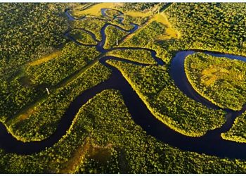 ISOLAMENTO GEOGRÁFICO COMO MODALIDADE DE PRESERVAÇÃO AMBIENTAL DA AMAZÔNIA