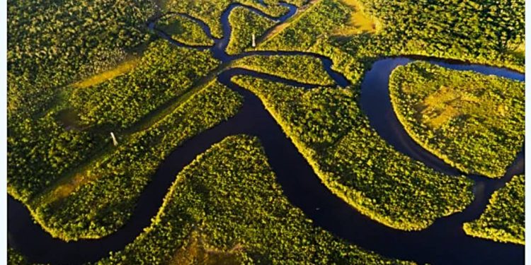 ISOLAMENTO GEOGRÁFICO COMO MODALIDADE DE PRESERVAÇÃO AMBIENTAL DA AMAZÔNIA