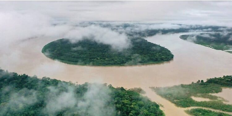 COMO A FEBRE DOS CRÉDITOS DE CARBONO GERA ACORDOS OBSCUROS EM TERRAS INDÍGENAS DA AMAZÔNIA