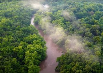TORRES DE 35M NO MEIO DA AMAZÔNIA VÃO MEDIR ESTRAGOS DA CRISE CLIMÁTICA