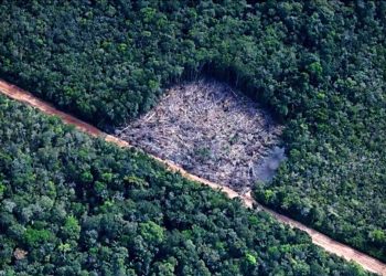 ATIVIDADES ILICITAS EM UNIDADES DE CONSERVAÇÃO NA AMAZÔNIA LEGAL: OMISSÃO DO ESTADO-UNIÃO