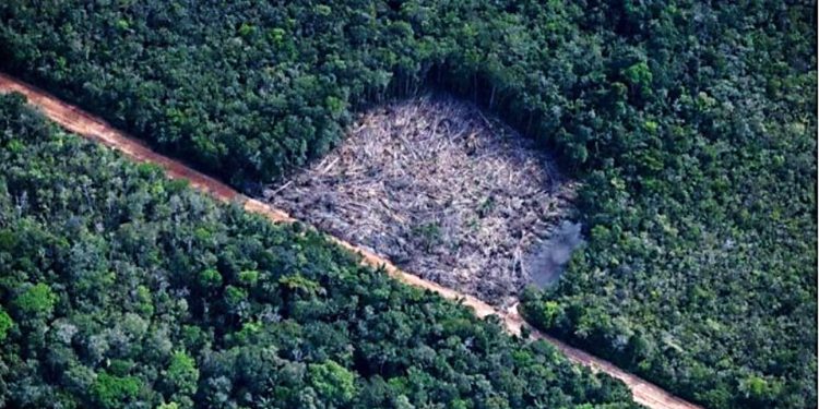 ATIVIDADES ILICITAS EM UNIDADES DE CONSERVAÇÃO NA AMAZÔNIA LEGAL: OMISSÃO DO ESTADO-UNIÃO