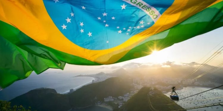 SOS MATA ATLÂNTICA DIVULGA CARTA COM PROPOSTAS URGENTES PARA O MEIO AMBIENTE PARA OS PRÓXIMOS GOVERNANTES E PARLAMENTARES