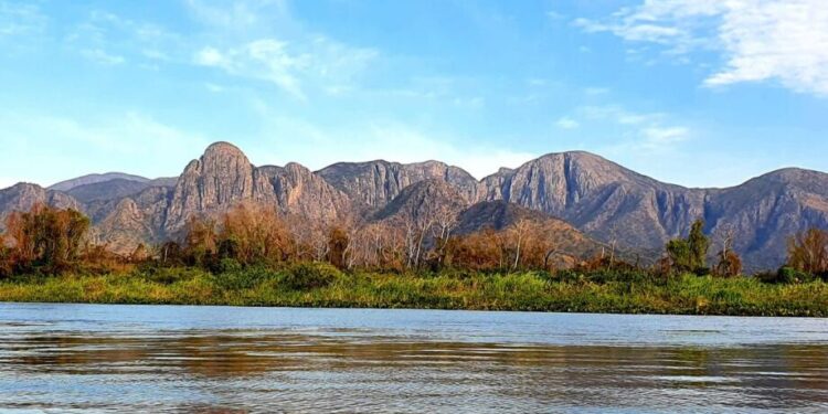 ONG AMBIENTALISTA É DENUNCIADA POR GRILAGEM DE TERRAS NO PANTANAL