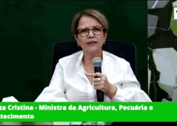 PLATAFORMA AJUDARÁ NA ANÁLISE DOS DADOS DO CADASTRO AMBIENTAL RURAL