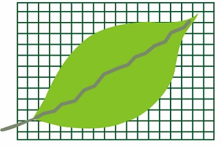 analise_risco_socioambiental_mini