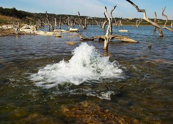 ÁGUAS SUBTERRÂNEAS: COMO PROLONGAR A VIDA DO AQUÍFERO GUARANI?
