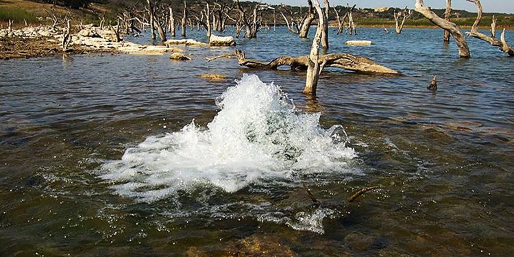 ÁGUAS SUBTERRÂNEAS: COMO PROLONGAR A VIDA DO AQUÍFERO GUARANI?