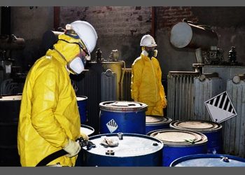 O CASO DO ASCAREL: A IMPORTÂNCIA DAS DECISÕES JUDICIAIS NA PROTEÇÃO AMBIENTAL