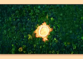 FILME “A ÚLTIMA FLORESTA” EM EXIBIÇÃO ATÉ DIA 29/09