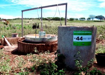 BIOGÁS DE ESTERCO ANIMAL MELHORA A VIDA NO SEMIÁRIDO NORDESTINO