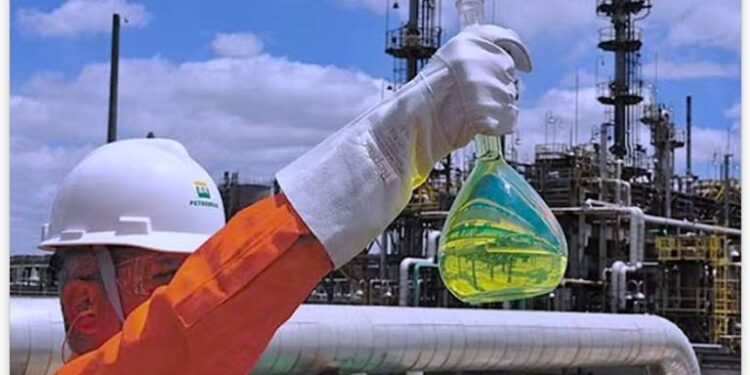 A DOUTRINA DA SOBERANIA BIOENERGÉTICA