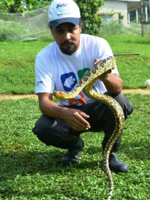 Biólogo Bruno Rocha segura animal encontrado no Vale (Foto: Lívia Corrêa/Arquivo Pessoal)