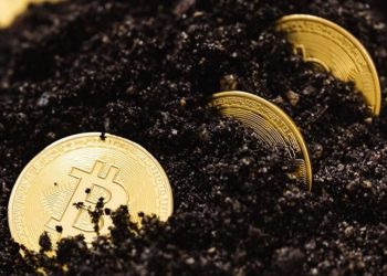 O TESOURO EM BITCOINS ENTERRADO NO ATERRO SANITÁRIO: PROCURAR OU ESQUECER