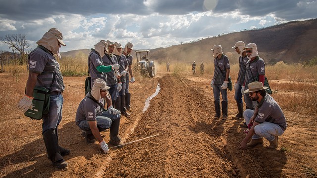 Agricultores da Bahia recebem treinamento em preparação do solo. Foto: Illuminati Filmes