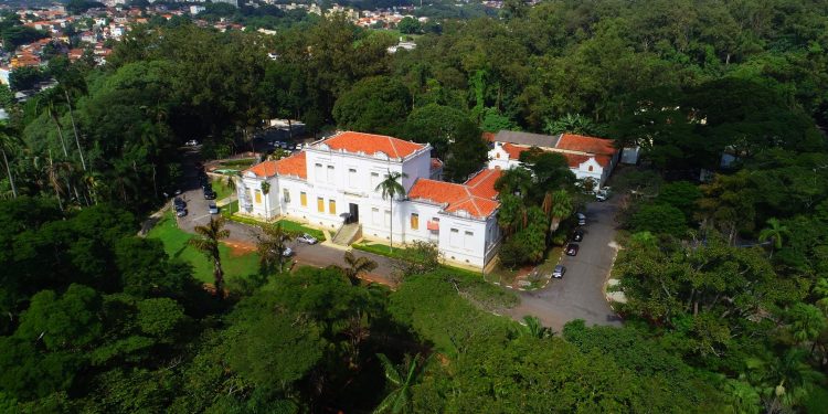 A REPENTINA POPULARIDADE DO BUTANTAN