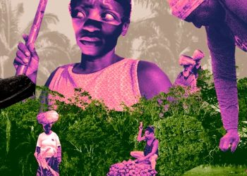 MEDO, MORTE E ABANDONO RONDAM DEFENSORAS DO MEIO AMBIENTE