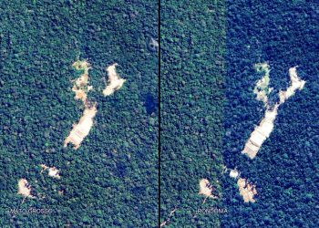COMO NASCE UM GARIMPO GERENCIADO PELO CRIME ORGANIZADO NO MEIO DA SELVA