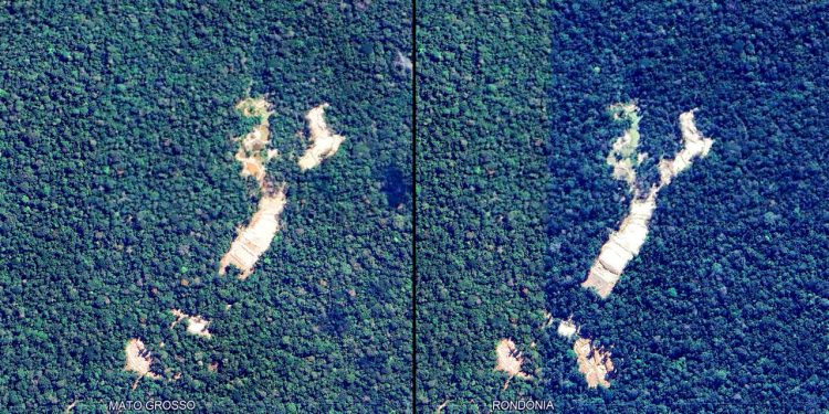 COMO NASCE UM GARIMPO GERENCIADO PELO CRIME ORGANIZADO NO MEIO DA SELVA