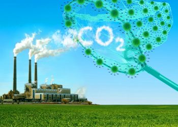 A NOVA APOSTA DE CIENTISTAS PARA CAPTURAR CO2 DA ATMOSFERA E REDUZIR AQUECIMENTO GLOBAL
